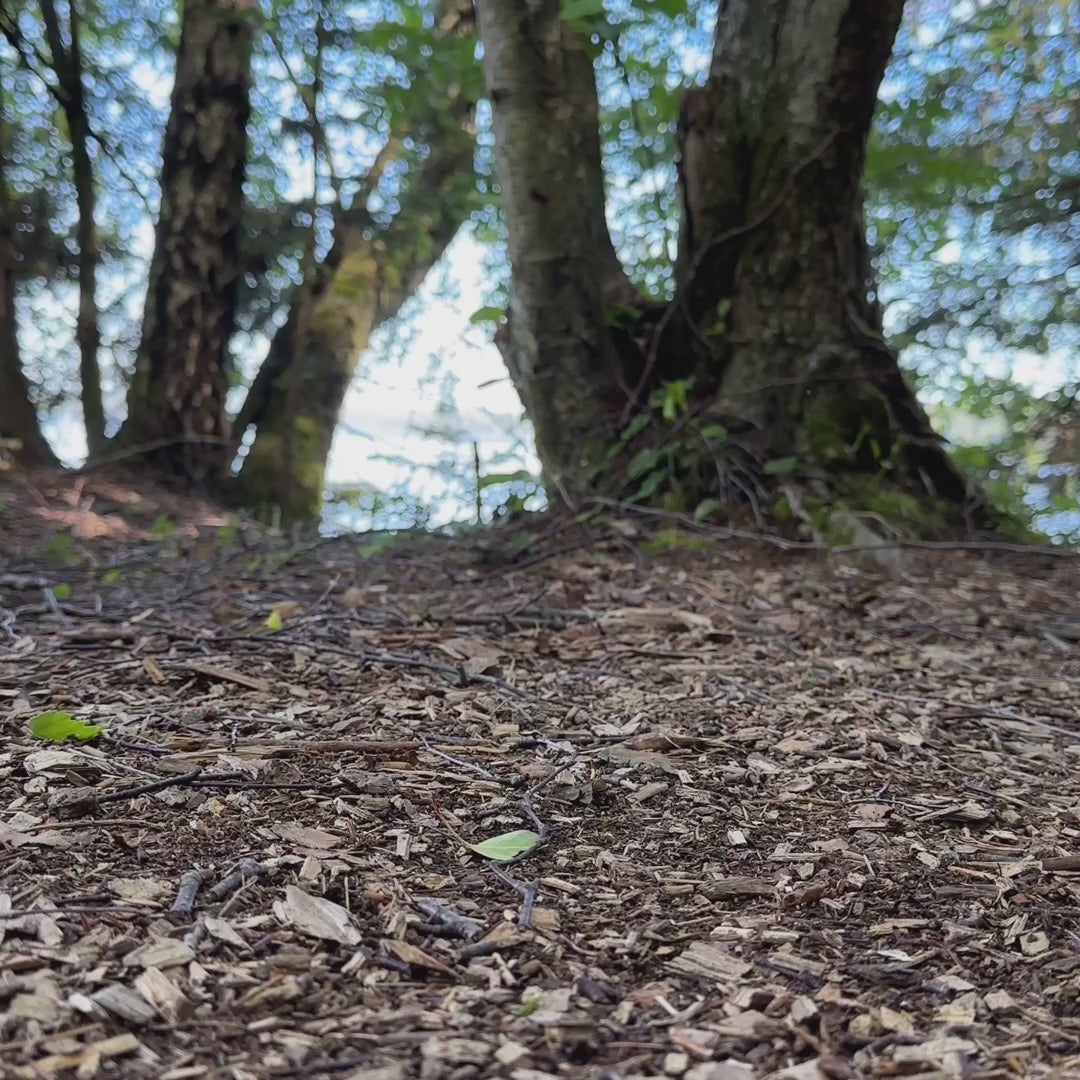 Hoka W ANACAPA 2 LOW GTX WIDE Smoky Quartz / Cosmic Pearl