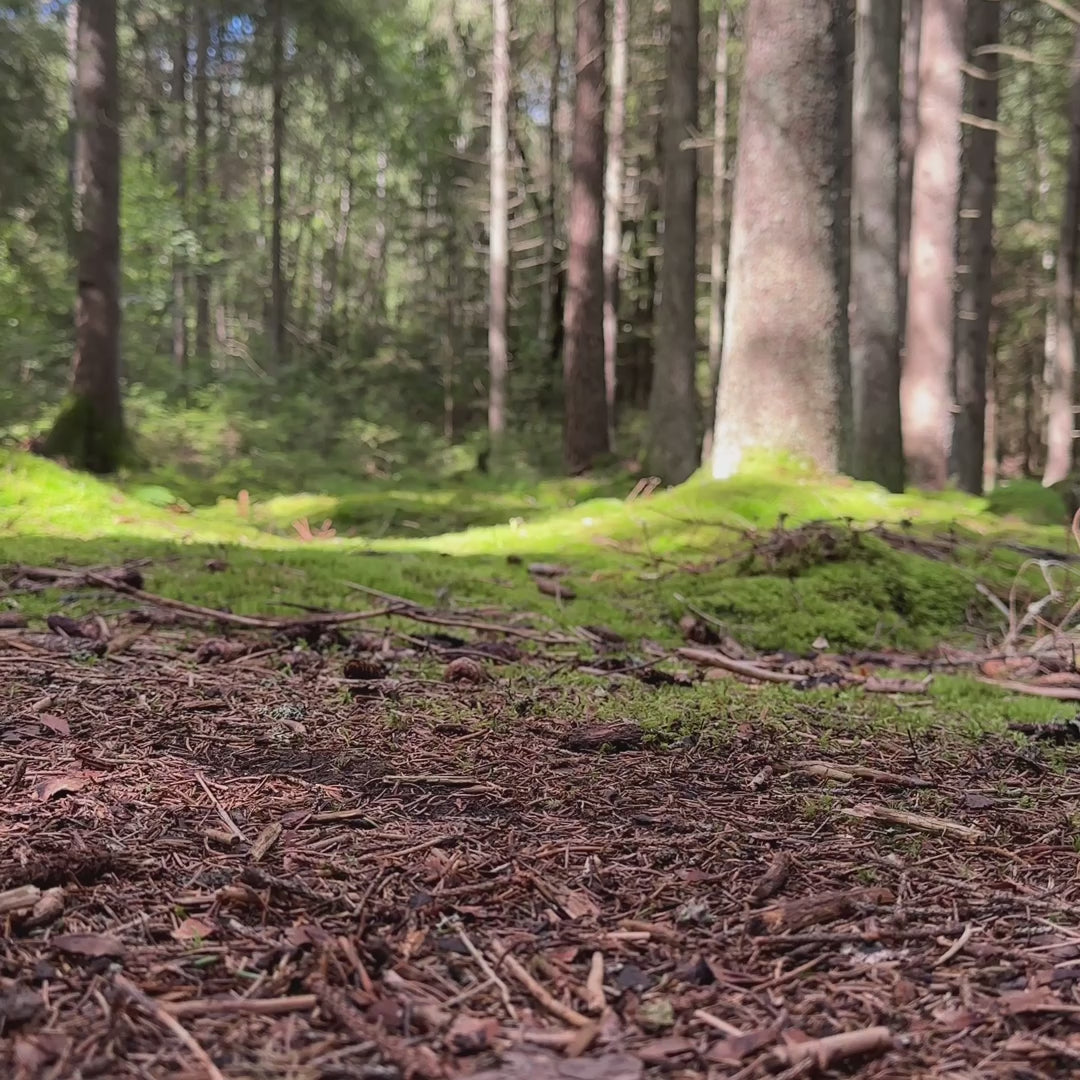 Hoka W ANACAPA 2 MID GTX WIDE Black / Black