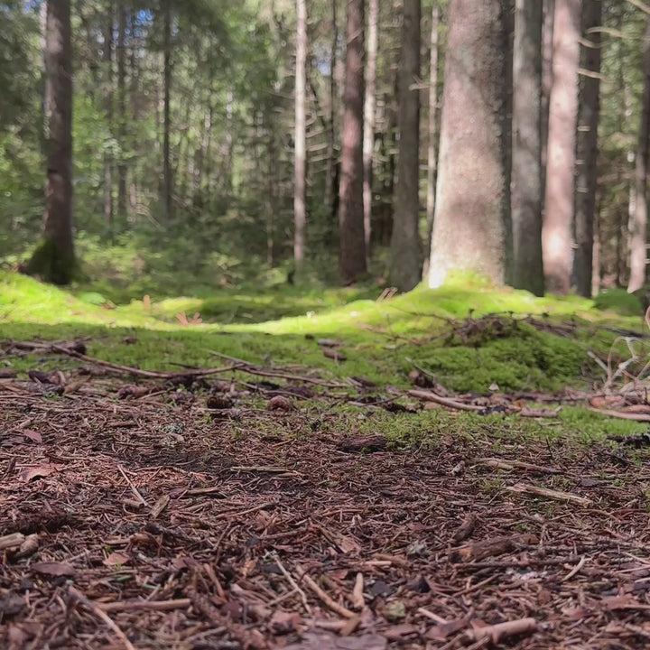 Hoka W ANACAPA 2 MID GTX WIDE Black / Black