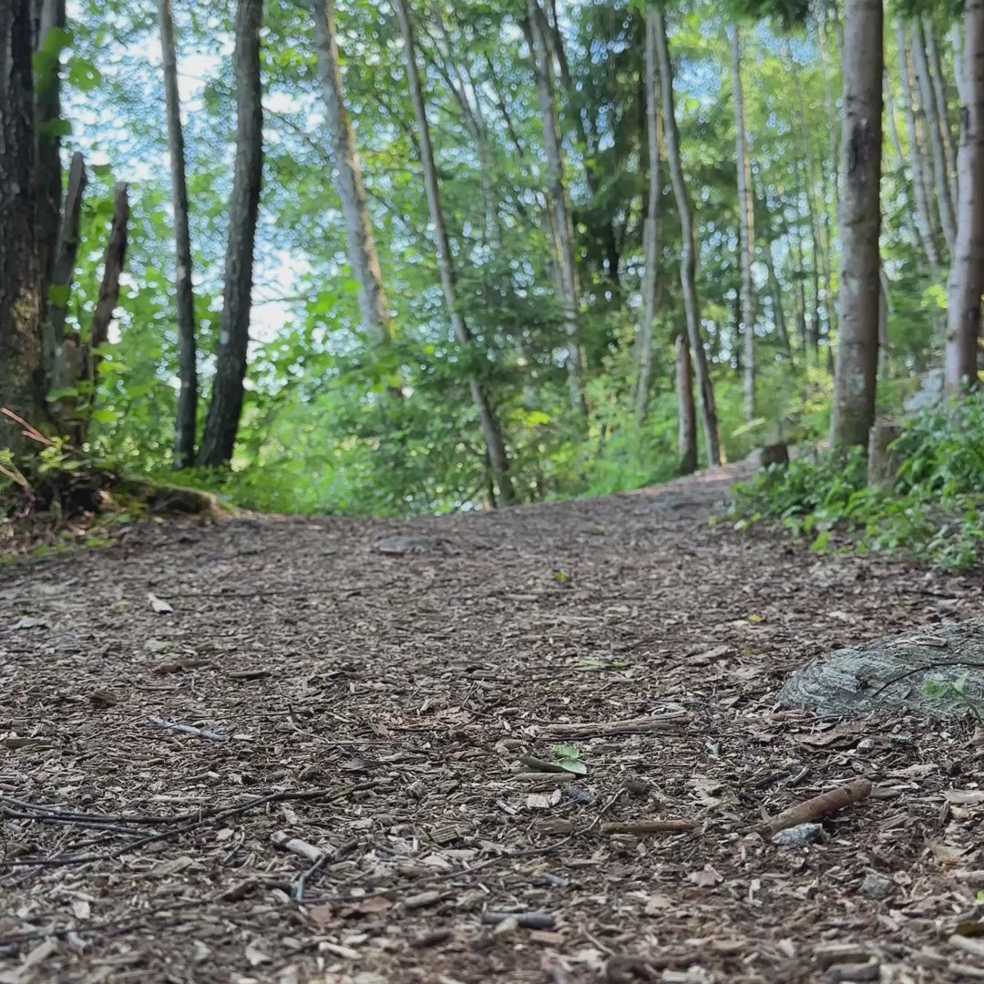 Hoka M ANACAPA 2 MID GTX WIDE Deep Umber / Stardust