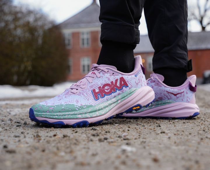 Hoka W SPEEDGOAT 6 GTX Fragrant Lilac / Ambient Blue