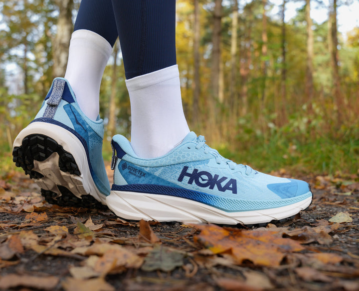 Hoka W CHALLENGER ATR 7 GTX Raindrop / Grout