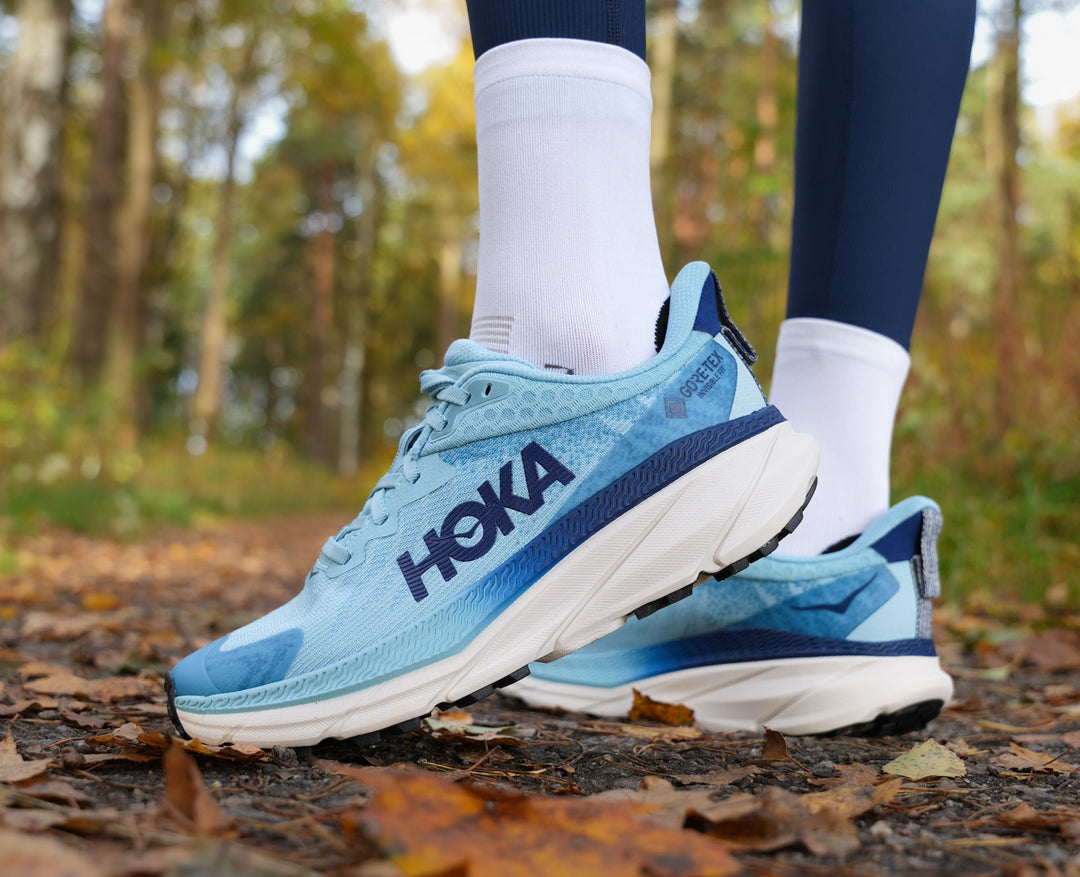 Hoka W CHALLENGER ATR 7 GTX Raindrop / Grout